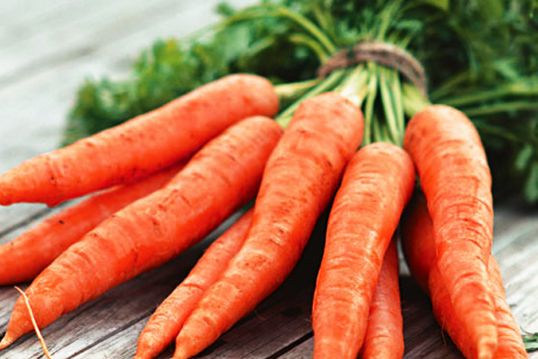 Как же правильно хранить морковь, чтобы не потерять ее полезные свойства