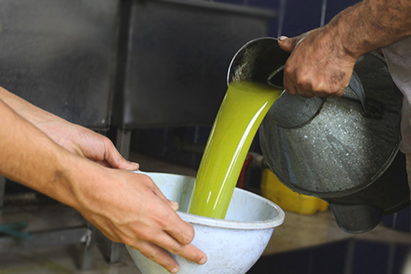 Как выглядит нефильтрованное оливковое масло