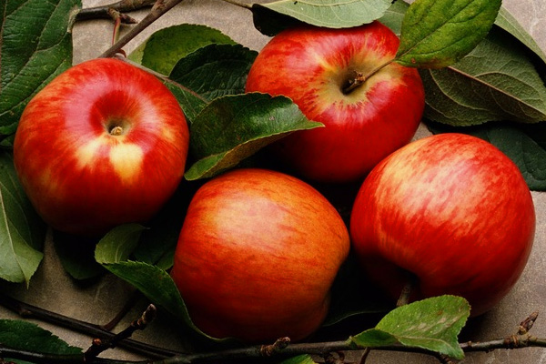 Первоначальный продукт - свежие яблоки