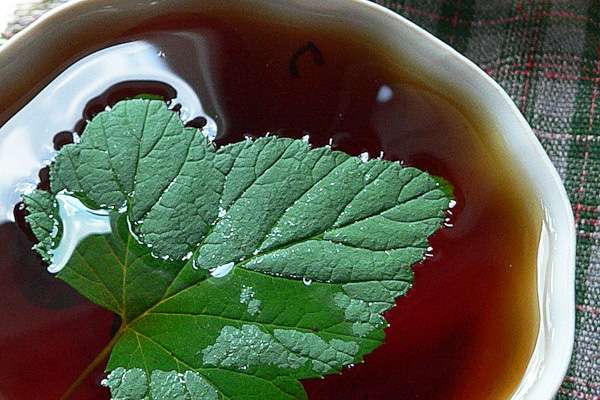 Готовим чай из листьев малины