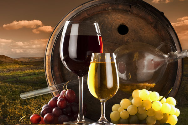 Как правильно выбрать бокалы для вина