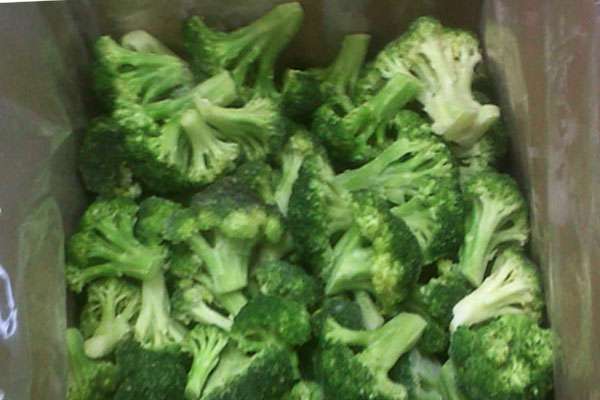kak-zamorozit-kapustu-brokkoli2