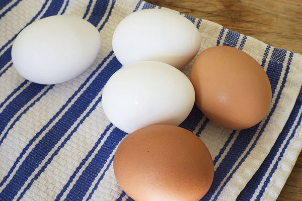 Срок хранения вареных яиц в холодильнике