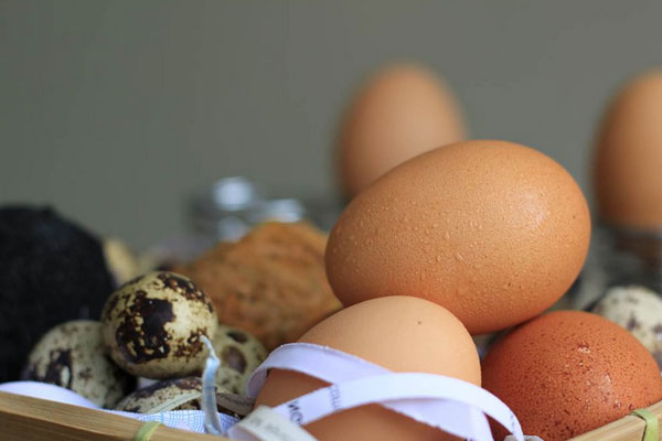 Срок и температура хранения яиц