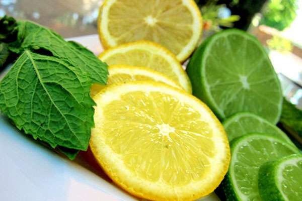 Готовим рецепт лимонада с лаймом и мятой