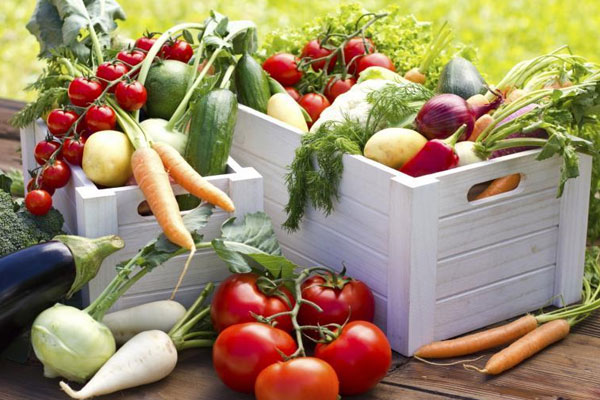 Как выбрать продукты для заготовки овощного салата ассорти
