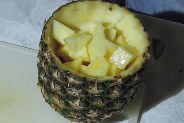 popugaj-iz-ananasa10