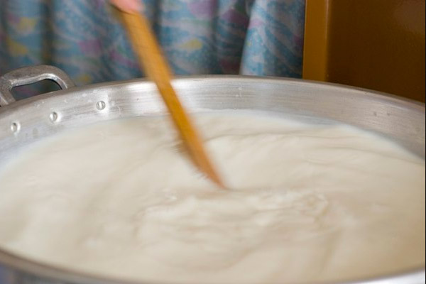 Рецепт сыра качотта в домашних условиях