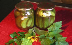Консервированные огурцы в томатном соке на зиму рецепт с фото