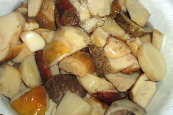 Как готовить белые грибы для бульона