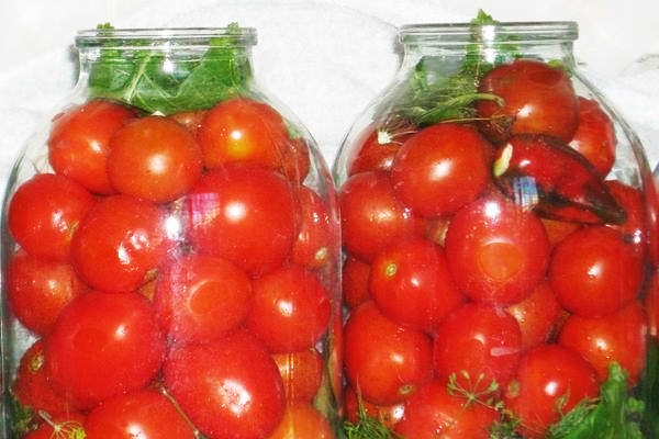 Malosol'nye-pomidory-bystrogo-prigotovlenija3