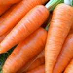 Блюда из моркови для детей