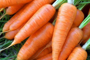 Блюда из моркови для детей