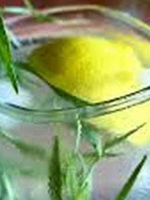Рецепт домашнего лимонада с тархуном