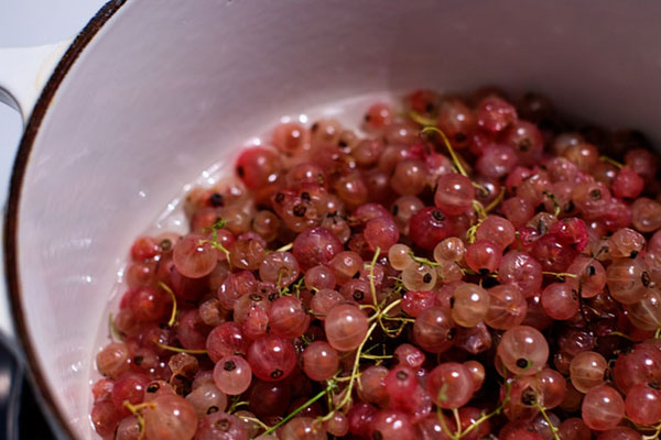 Как сделать домашнее вино из красной смородины
