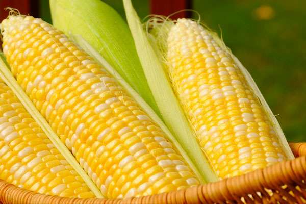 Как сочетать кукурузу с другими продуктами