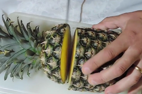 popugaj-iz-ananasa1