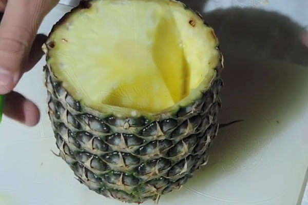 popugaj-iz-ananasa9