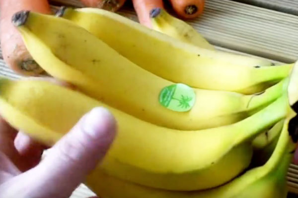 Что нужно для создания украшения из банана