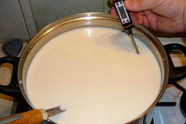  Как приготовить сыр бри в домашних условиях